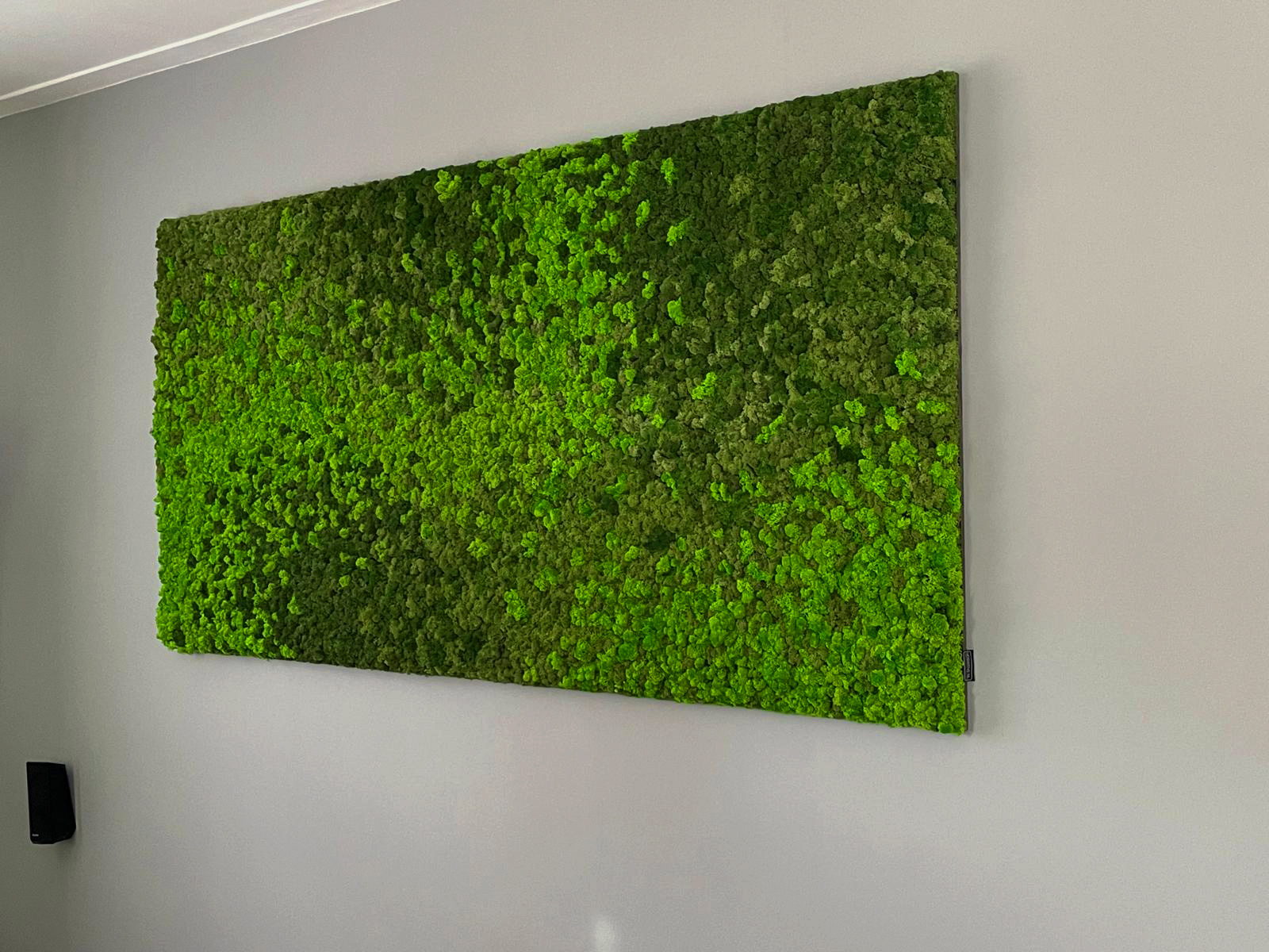 Moswens Rechteckiges Moosbild Loran