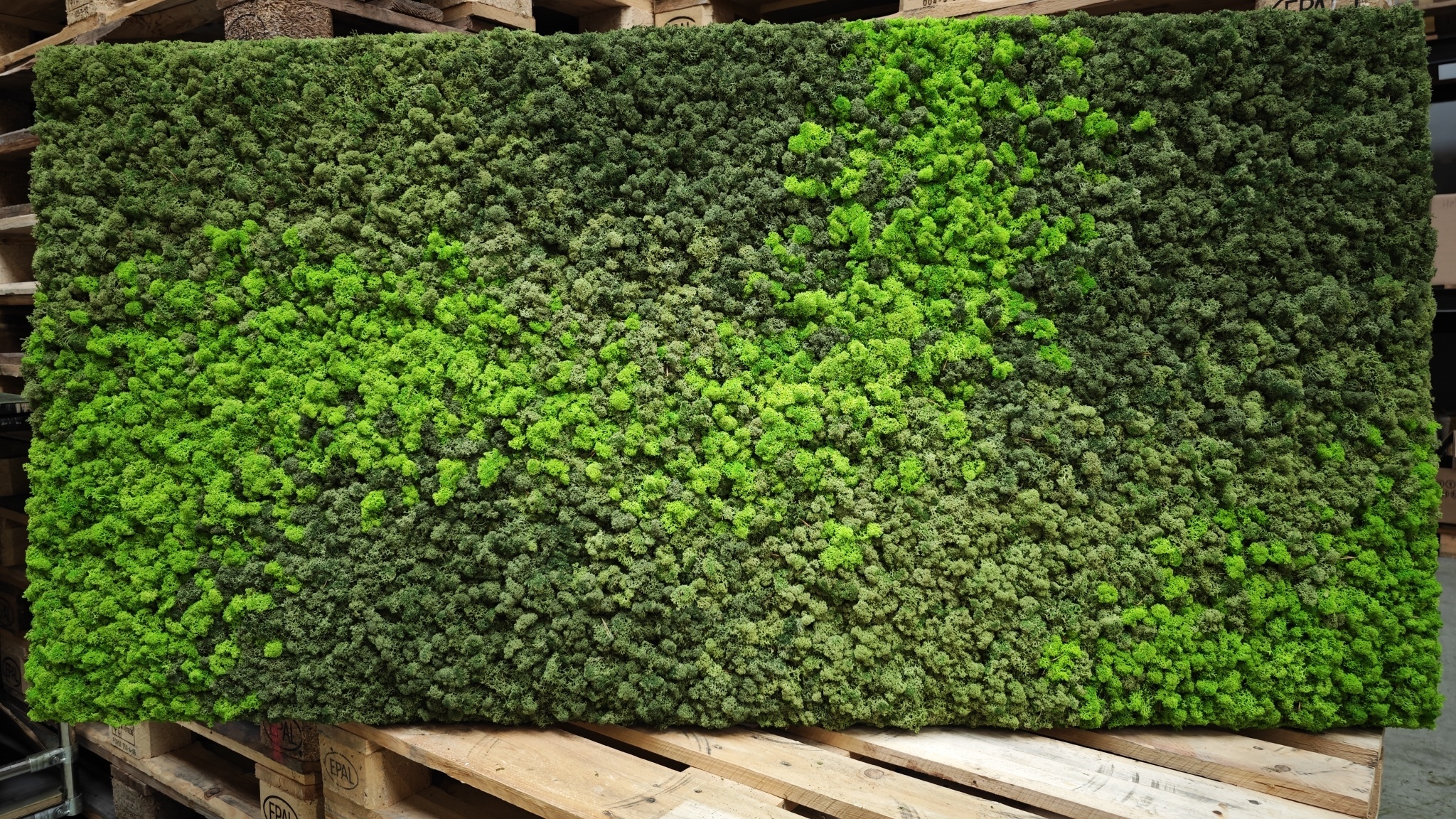 Moswens Rechteckiges Moosbild Loran