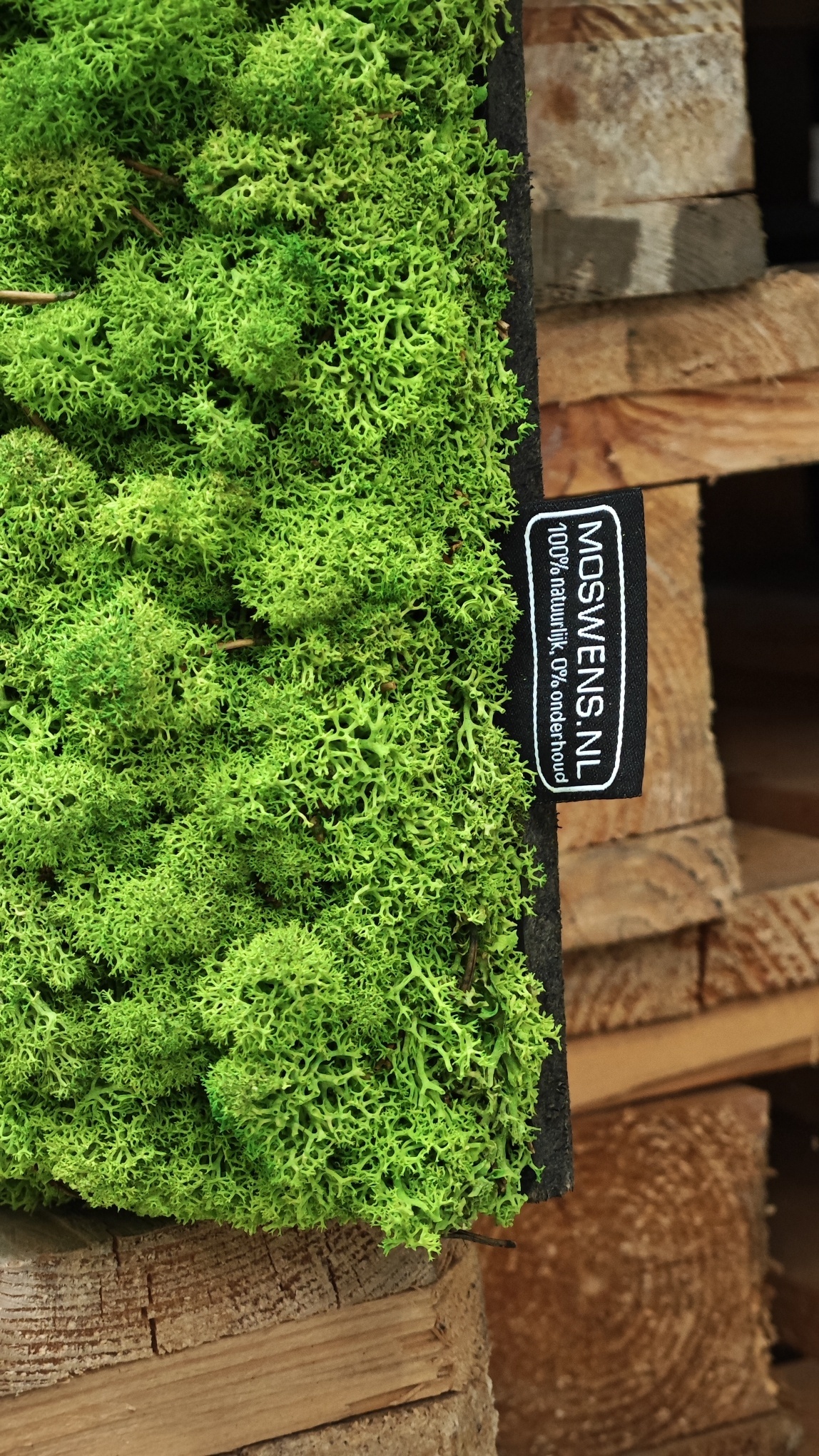 Moswens Rechteckiges Moosbild Loran