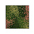 Moswens Quadratisches Moosbild Arya