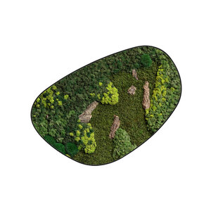 Moosdots Cuatro Moosbild Kaiju