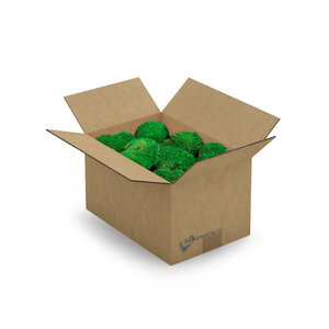 Kugelmoos-Box L 0,20 m²