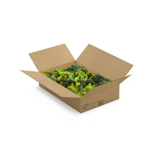 ECO-Moos Mix | L-Box | Der billigste