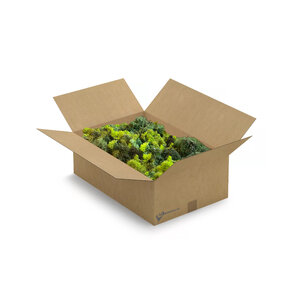 ECO-Moos Mix | XL-Box | Der billigste