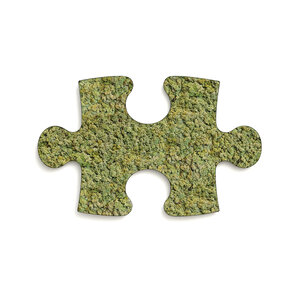 Puzzle Moosbild Vetus