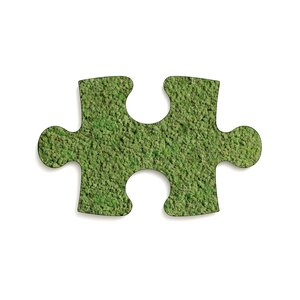 Puzzle Moosbild Dimidium