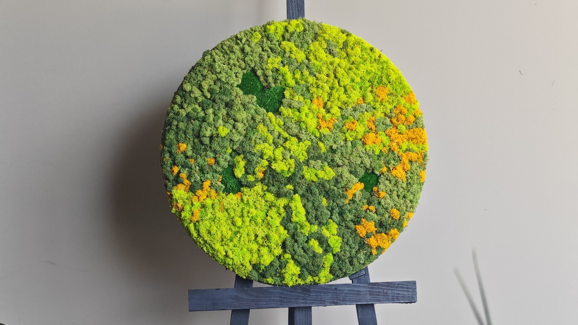 Der Stil des Sommers: Sundara