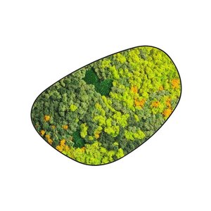 Moosdots Cuatro Moosbild Sundara