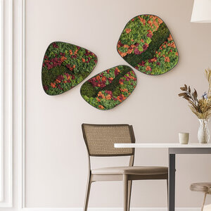Moosdots-Set Moosbild Renovita
