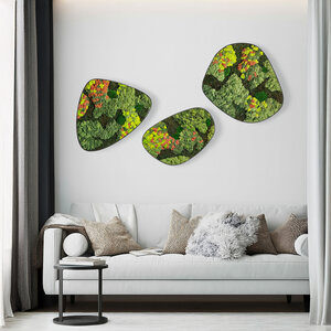 Moosdots-Set Moosbild Kaisa