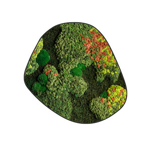 Moosdots Cinco Moosbild Kaisa