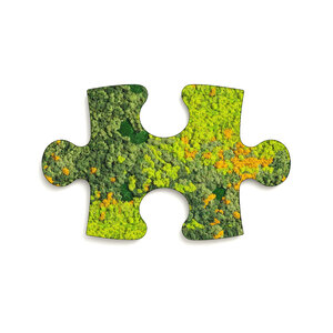 Puzzle Moosbild Sundara