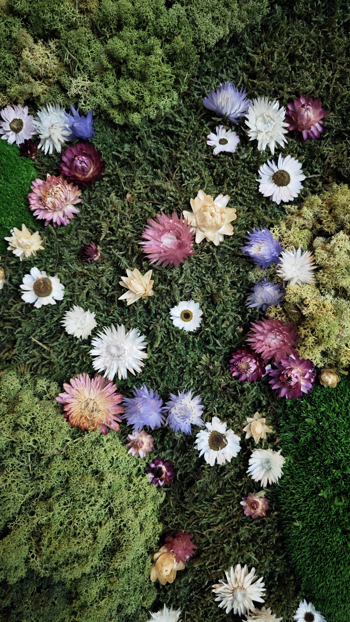 Moswens Puzzle Moosbild Flora im Blumen Stil