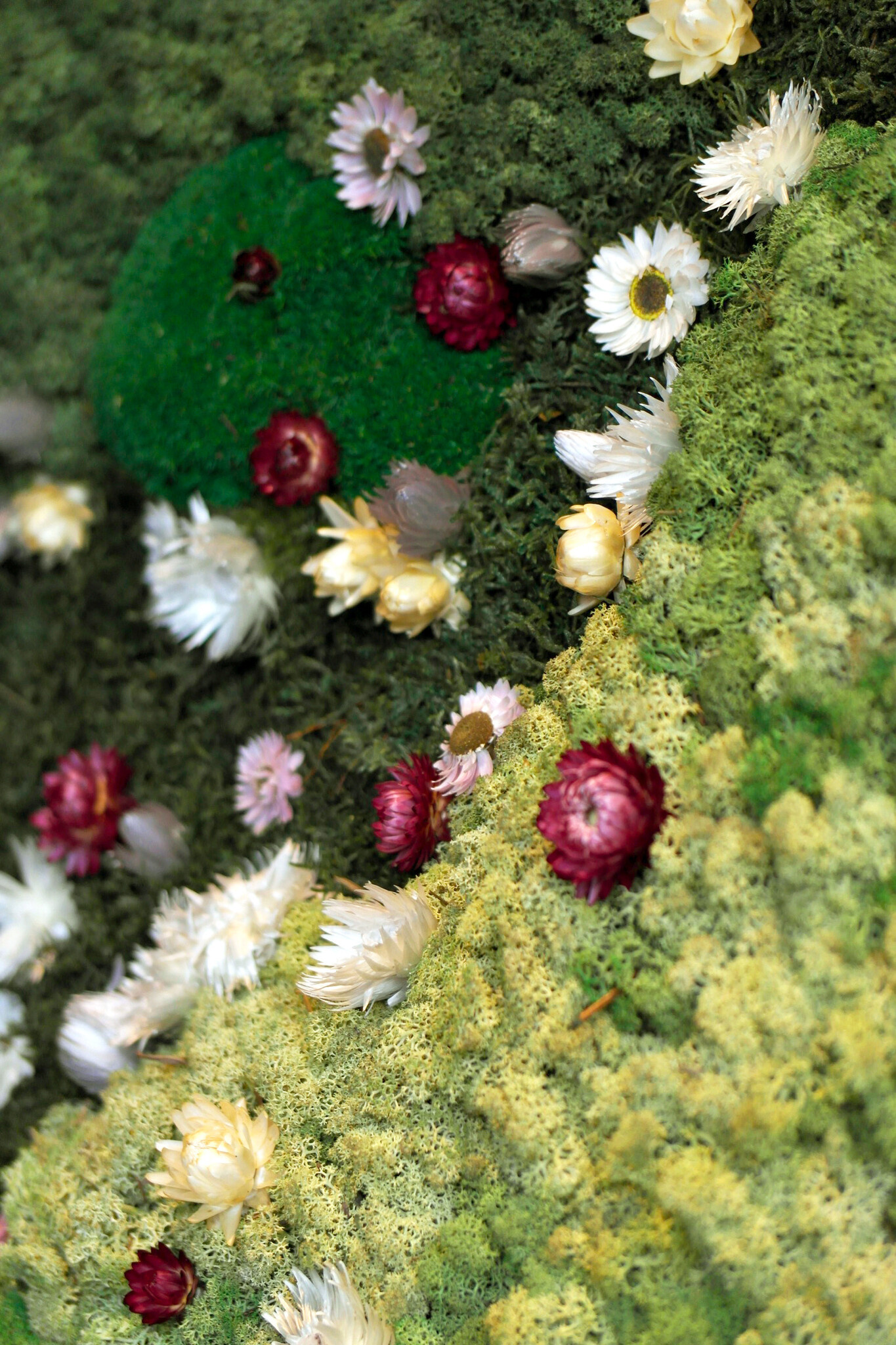 Moswens Puzzle Moosbild Flora im Blumen Stil