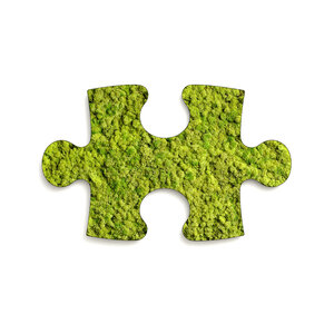 Puzzle Moosbild Rentiermoos