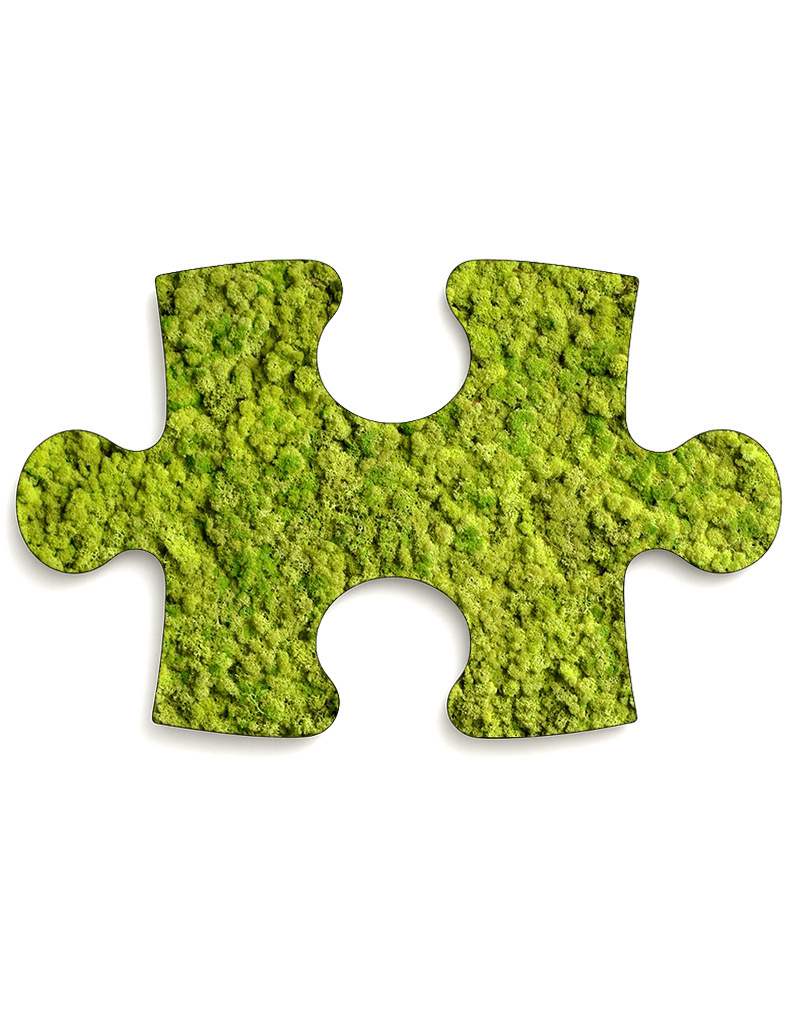 Moswens Puzzle Moosbild Rentiermoos