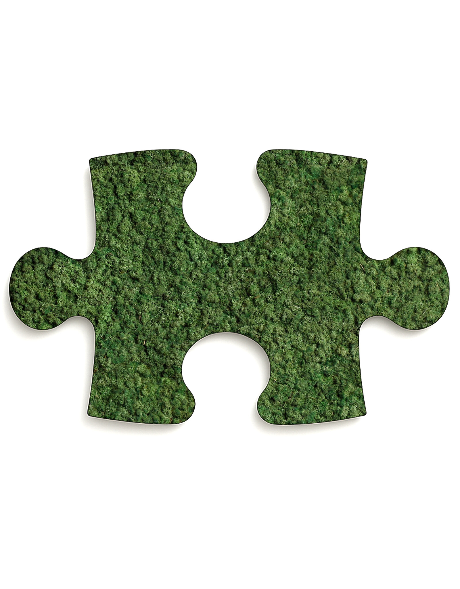 Moswens Puzzle Moosbild Rentiermoos