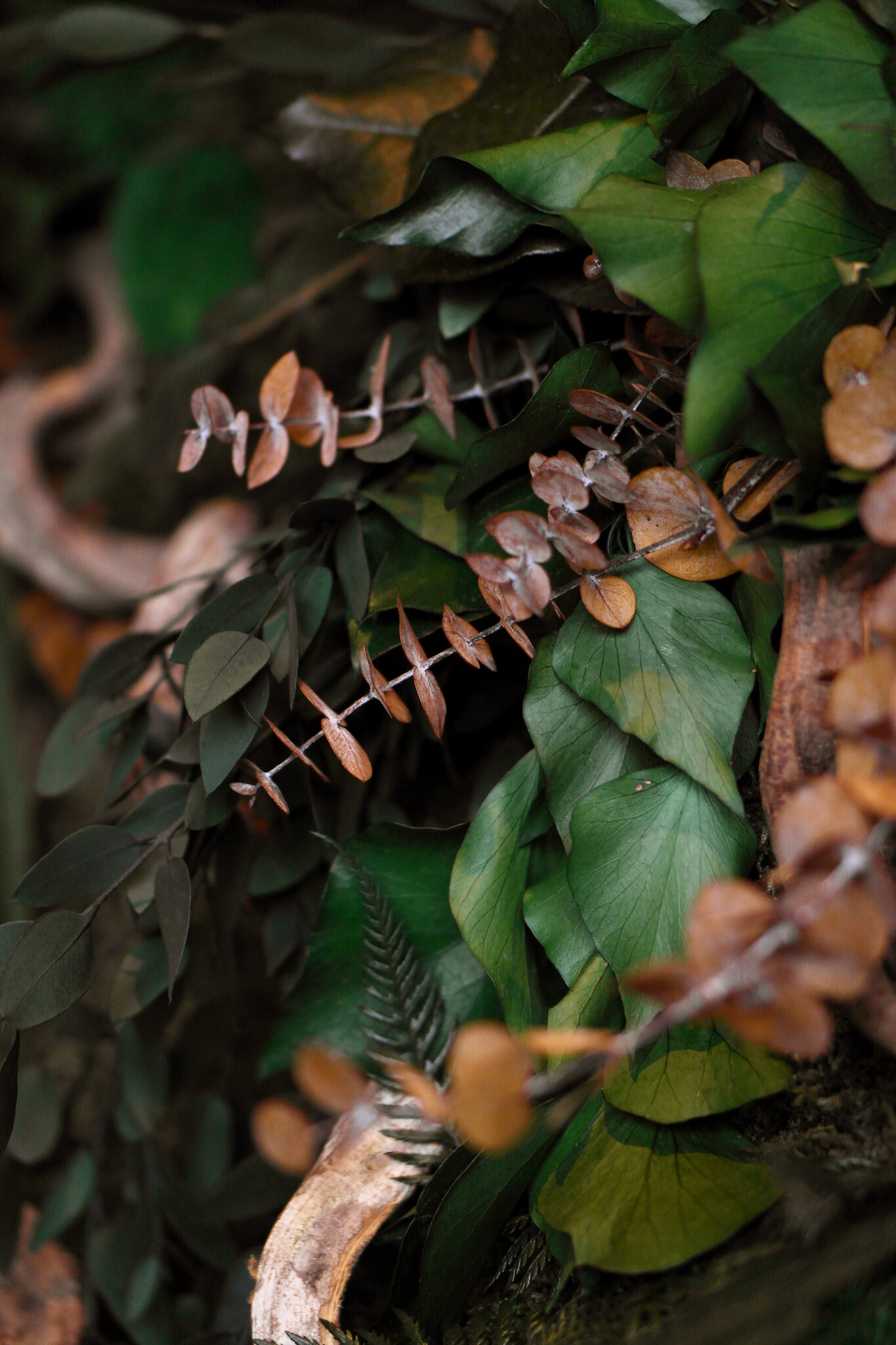 Moswens Puzzle Moosbild Liana im Dschungel Stil