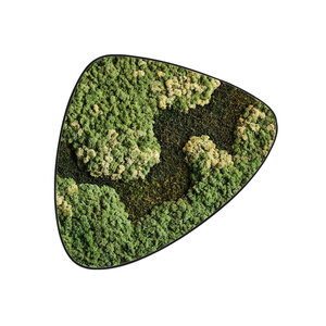 Moosdot tres Moosbild Vitalis