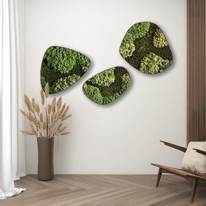 Moosdots-Set Moosbild Vitalis