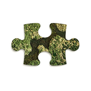 Puzzle Moosbild Vitalis