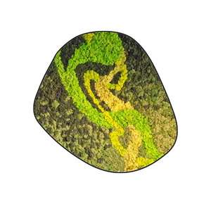 Moosdots Cinco Moosbild Colvaya