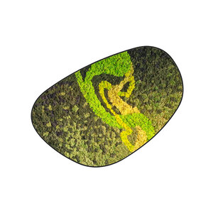 Moosdots Cuatro Moosbild Colvaya