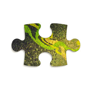 Puzzle Moosbild Colvaya