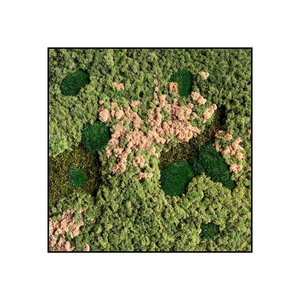 Quadratisches Moosbild Rosaine