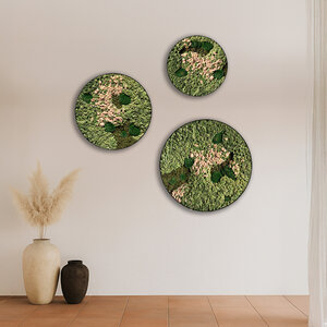 Rundes moosbild Set Rosaine