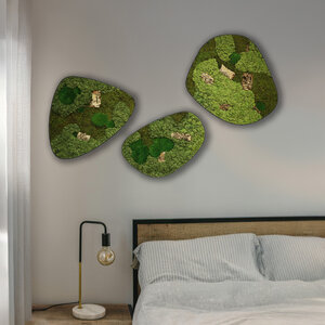 Moosdots-Set Moosbild Corky