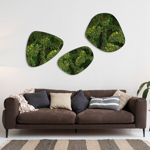 Moosdots-Set Moosbild Evey