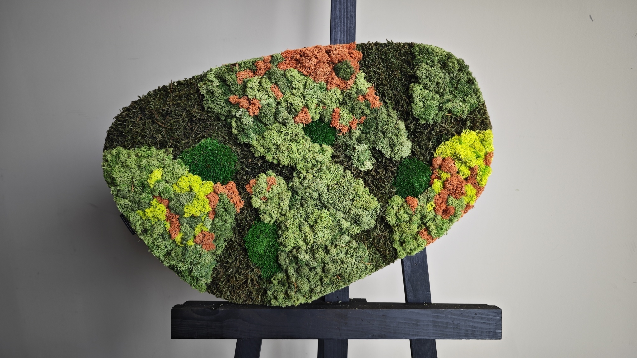 Moswens Moosdots Cuatro Moosbild Kaisa