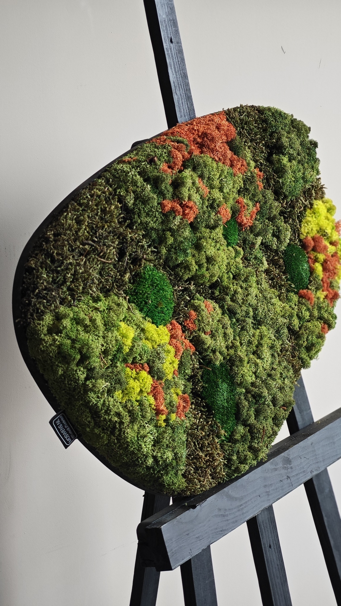 Moswens Moosdots Cuatro Moosbild Kaisa