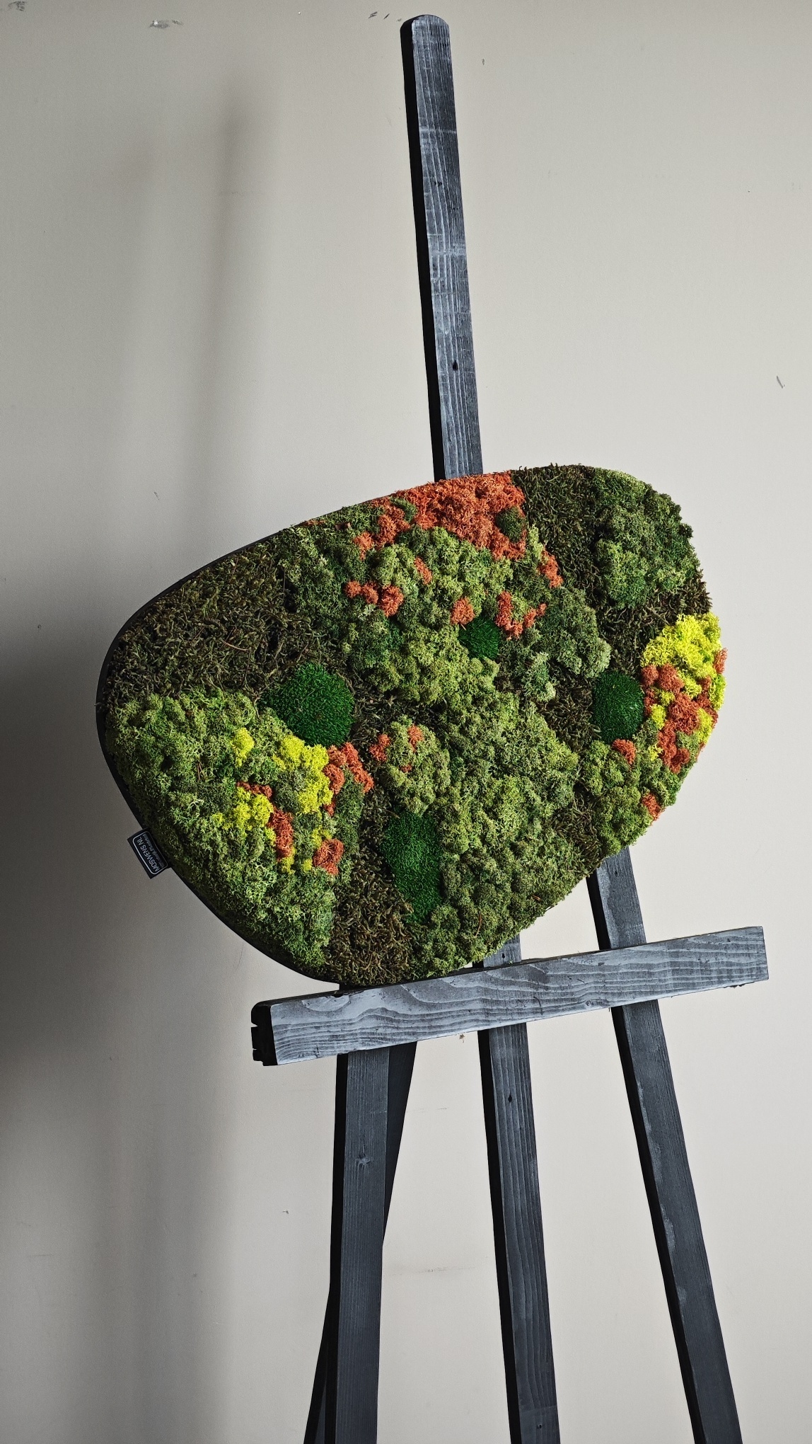 Moswens Moosdots Cuatro Moosbild Kaisa