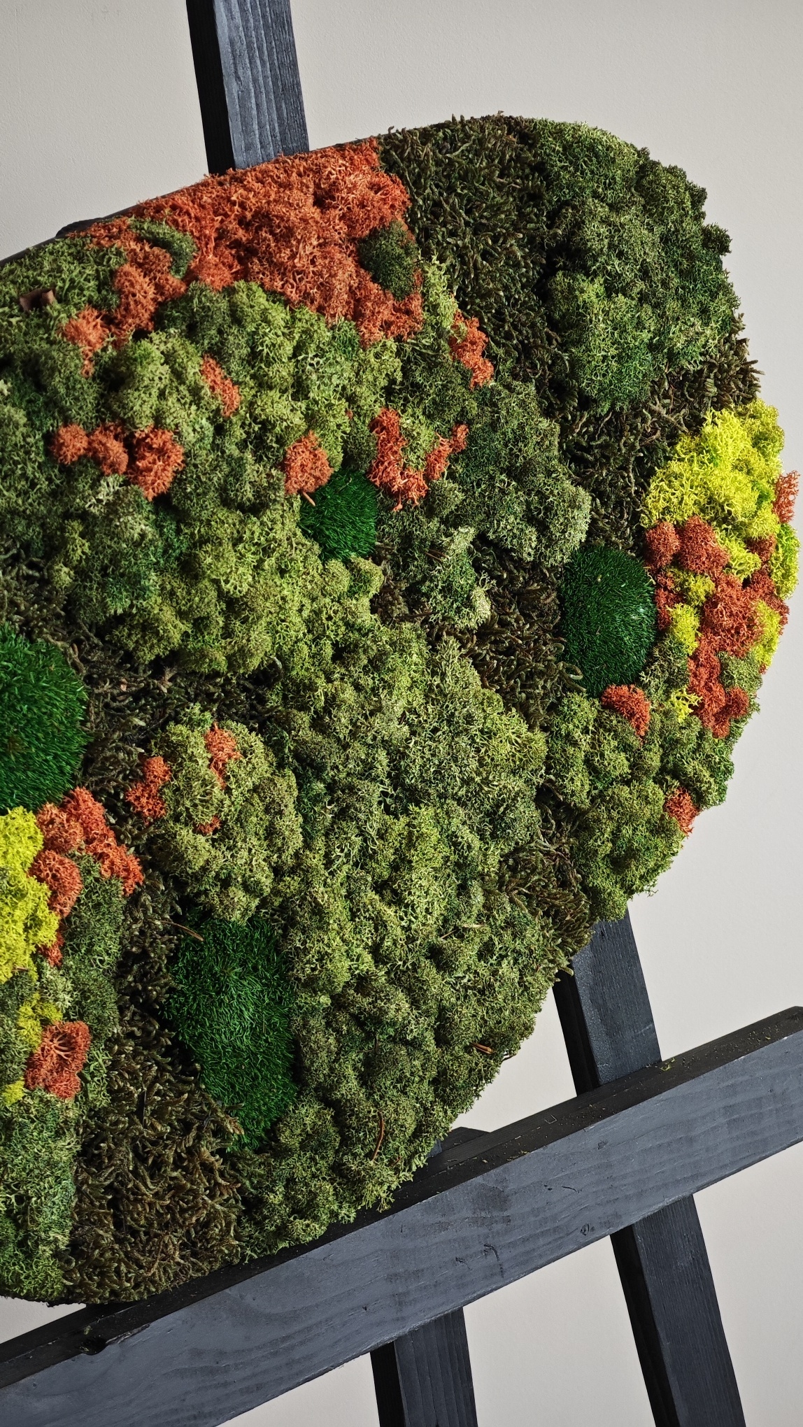 Moswens Moosdots Cuatro Moosbild Kaisa