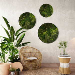 Rundes moosbild Set Jellina