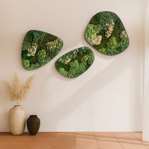 Moosdots-Set Moosbild Rosaine