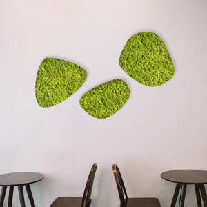 Moosdots-Set Moosbild Apricis