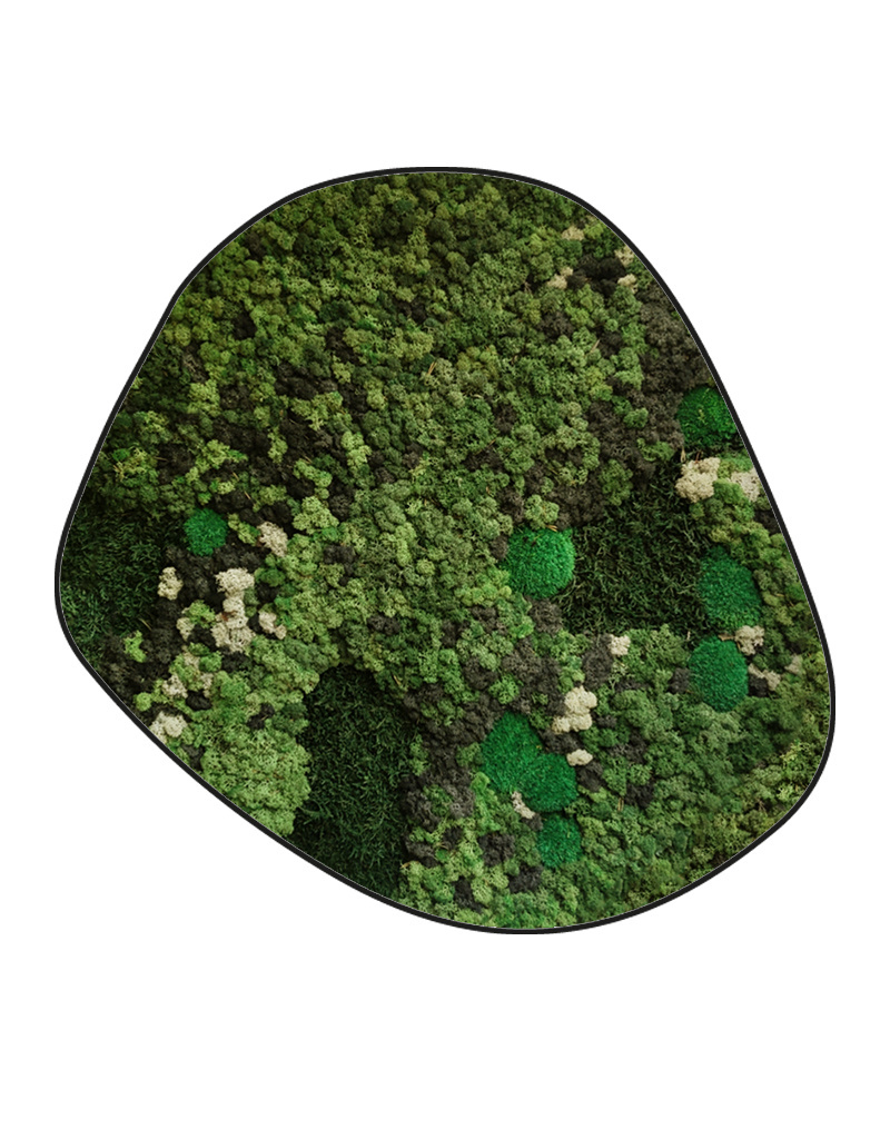 Moswens Moosdots Cinco Moosbild Taurus