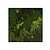Moswens Quadratisches Moosbild Jellina