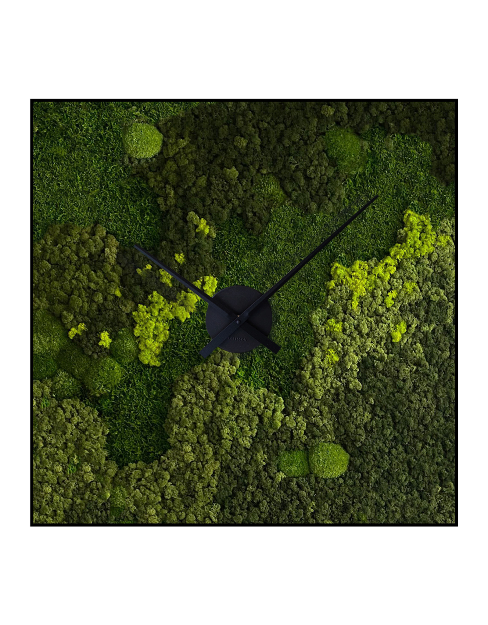 Moswens Quadratisches Moosbild Jellina