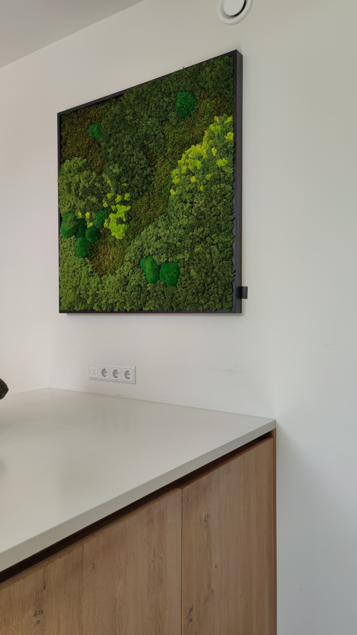 Moswens Quadratisches Moosbild Jellina