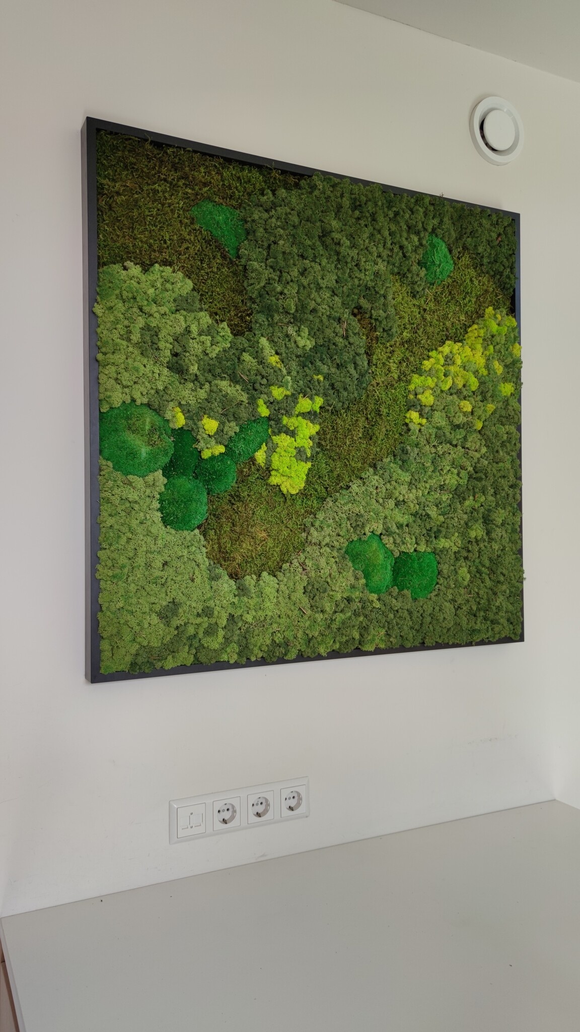 Moswens Quadratisches Moosbild Jellina