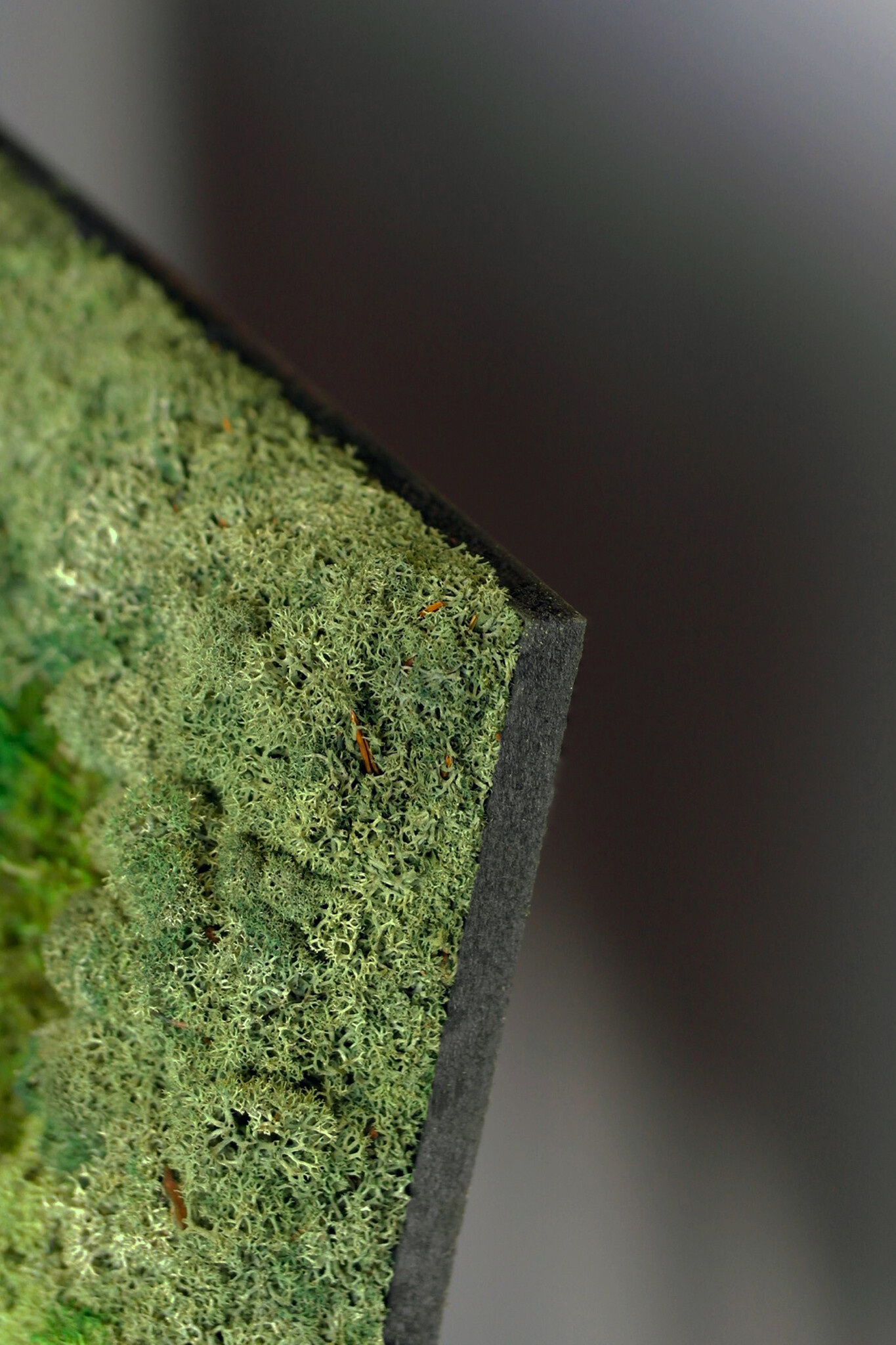 Moswens Quadratisches Moosbild Jellina