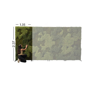 MoosBackdrop 1.35 x 2.37 (Miete)