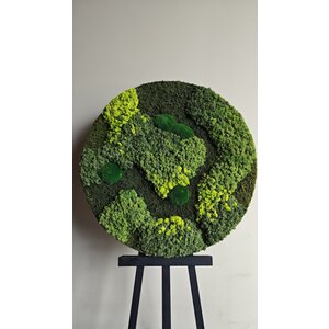 OUTLET Moss Circle Ø120cm (VERKAUFT)