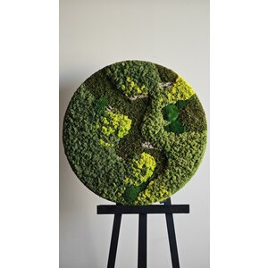 OUTLET Moosbild rund mit Rinde Ø120cm (VERKAUFT)