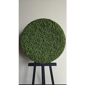 OUTLET Moosbild rund Dunkelgrün Rentiermoos 80 cm schwarze Kante (VERKAUFT)