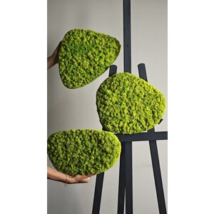 OUTLET Organisch 3 Stk. 40-40-40 cm Rentiermoos Stirnseite schwarz (1 Set verfügbar)